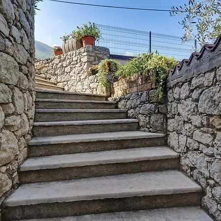Assenza 9